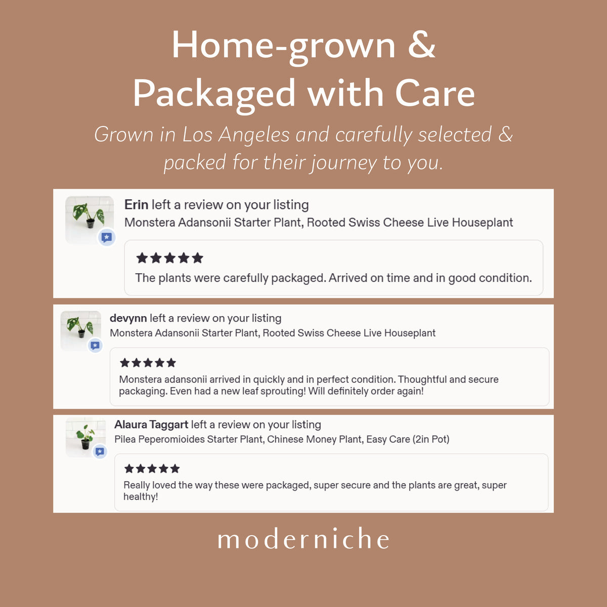 Moderniche live houseplants home-grown in Los Angeles and carefully packaged for shipping, featuring five-star customer reviews about healthy plants and secure packaging.