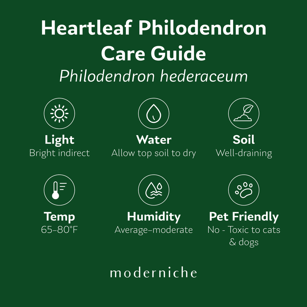 Heartleaf Philodendron care guide showing recommended light, watering, soil, temperature, humidity, and pet safety information.