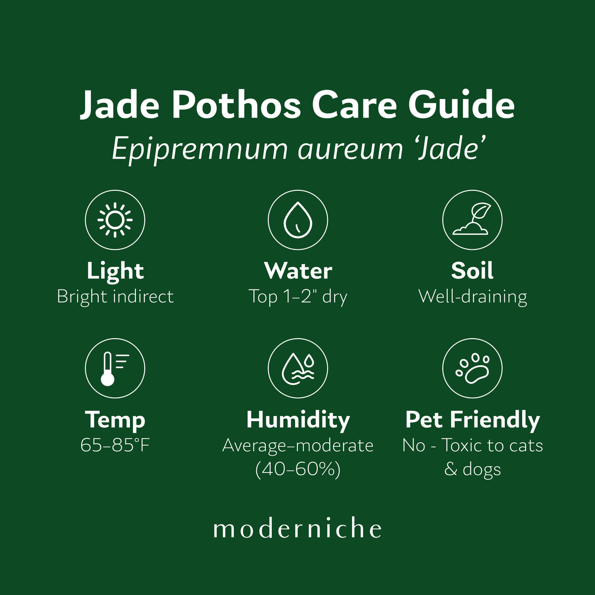 Jade Pothos care guide showing recommended light, watering, soil, temperature, humidity, and pet safety information.