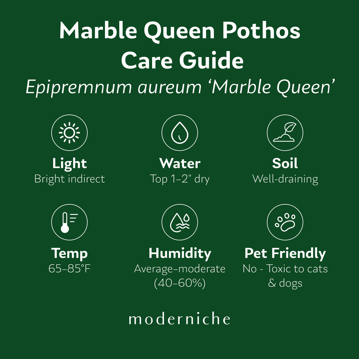 Marble Queen Pothos care guide with light, watering, soil, temperature, humidity, and pet safety recommendations.