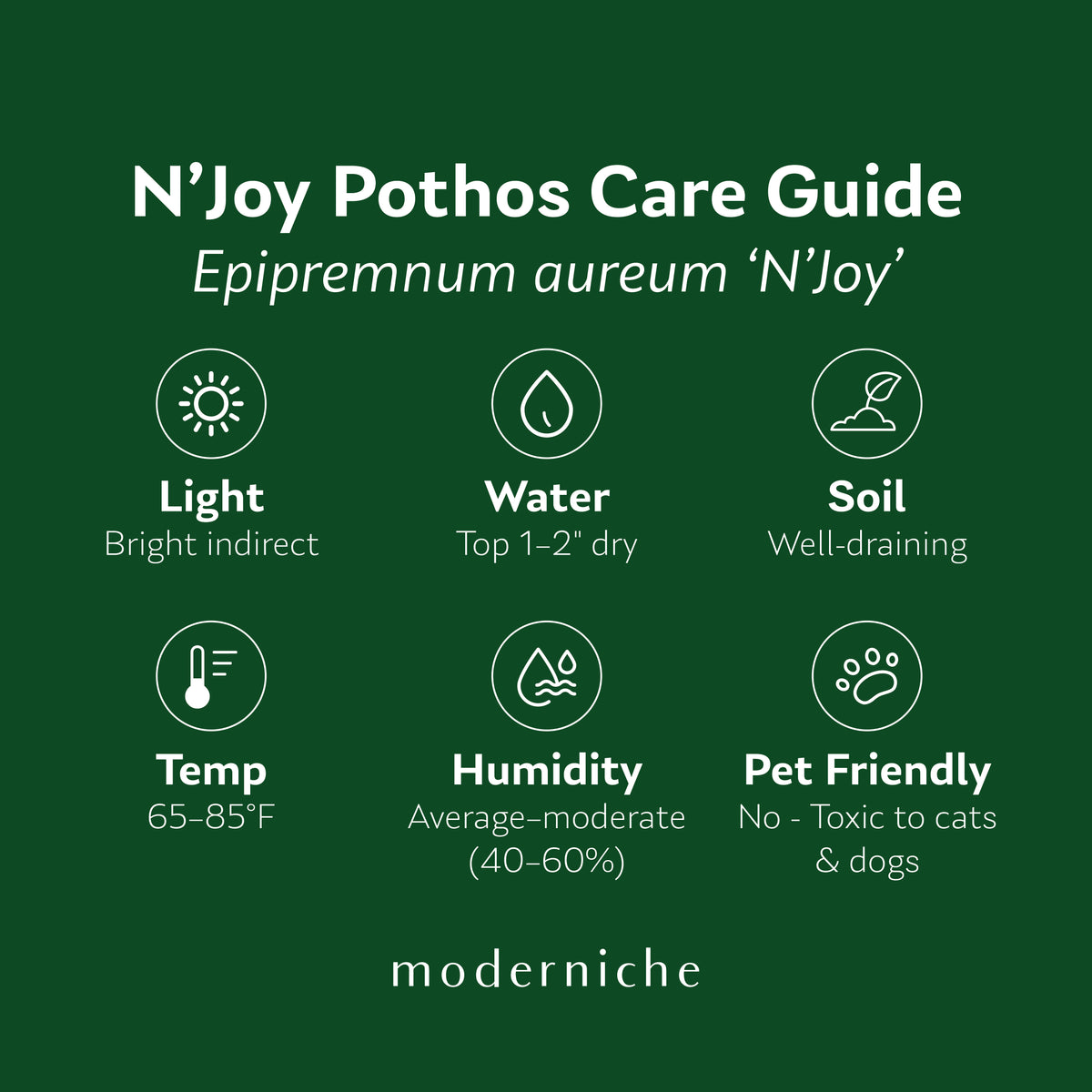 N’Joy Pothos care guide showing recommended light, watering, soil, temperature, humidity, and pet safety information.