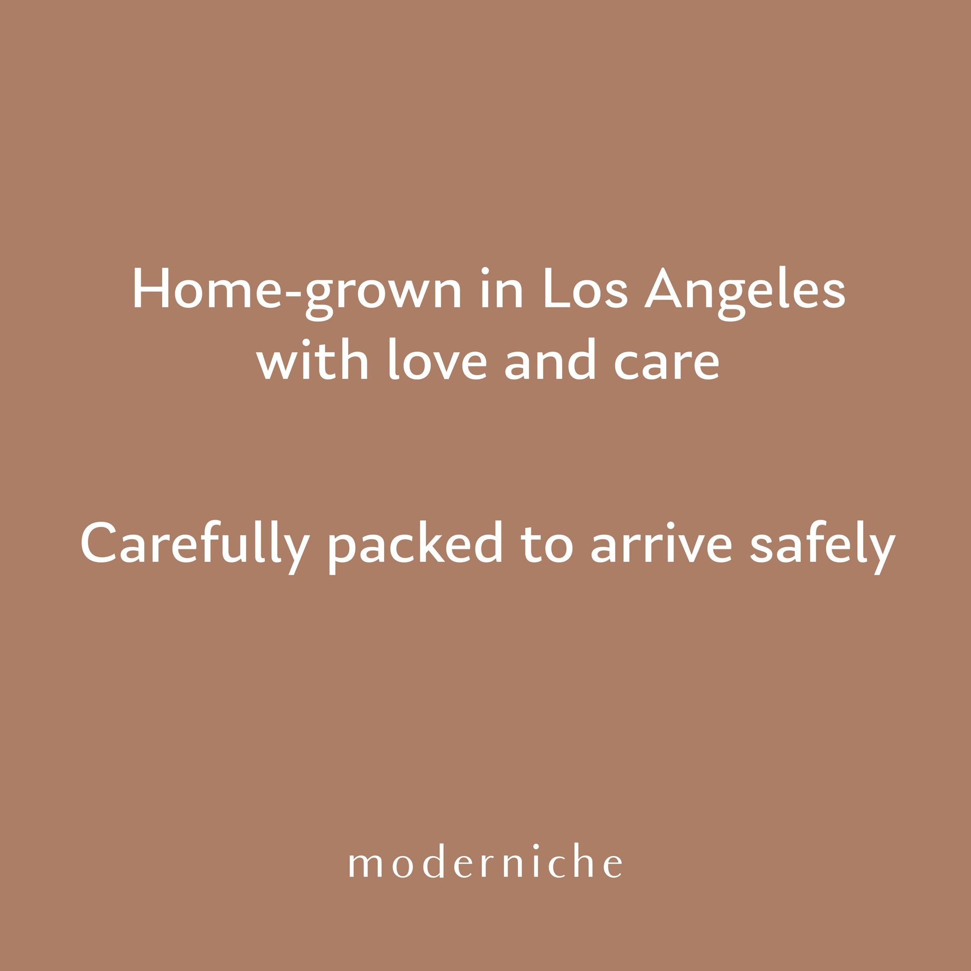 moderniche info thumbnail