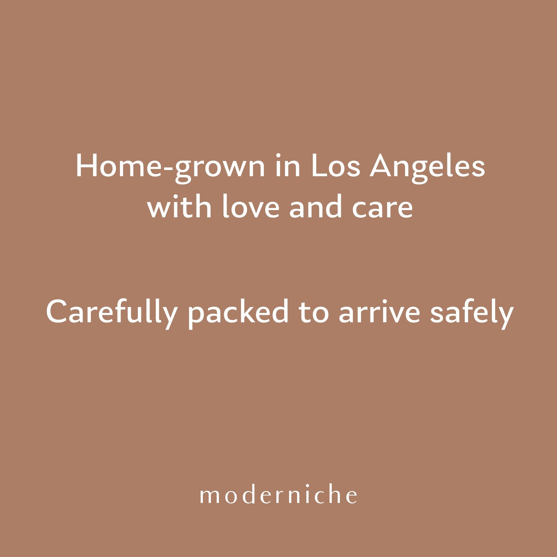 moderniche info thumbnail