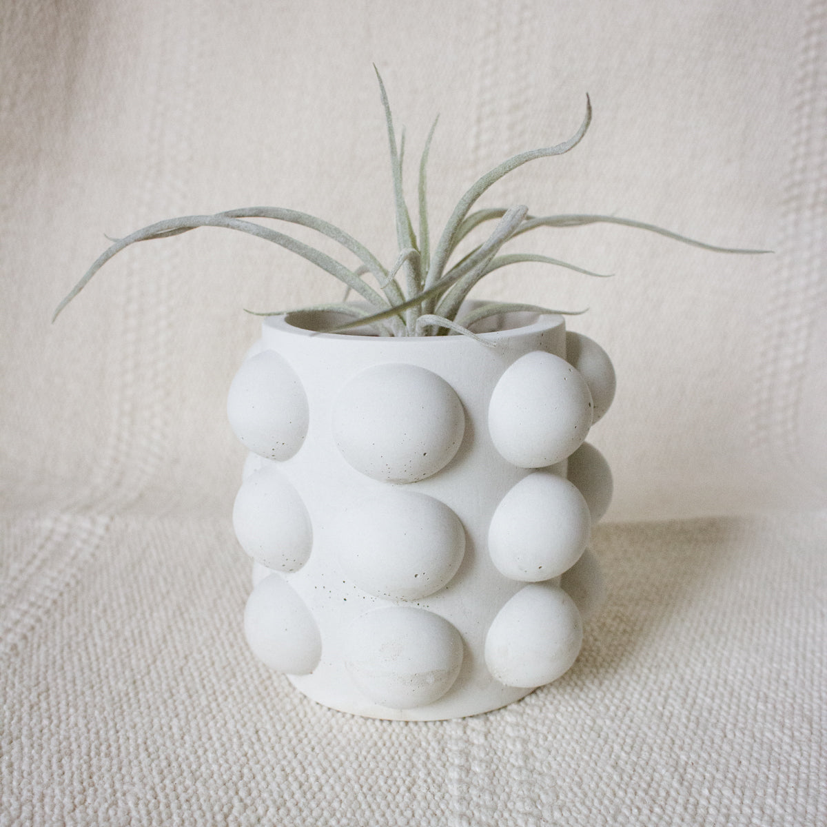 7oz Empty Concrete Candle Jar with Lid Option - Scallop Style